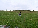 DSCF2808