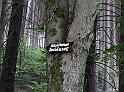 P1020243